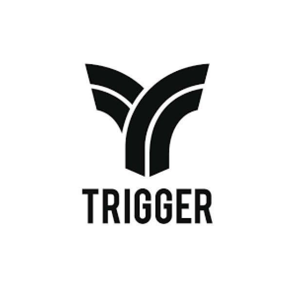 trigger-skateboards
