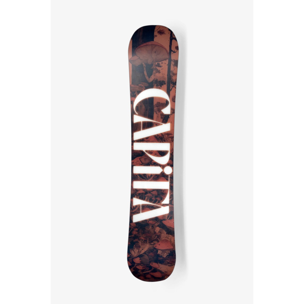 Besteck, Skateboard