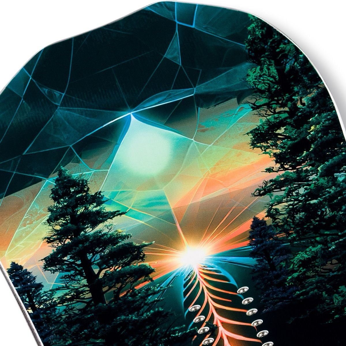 Baum, Vegetation, Nacht, Tanne, Blatt