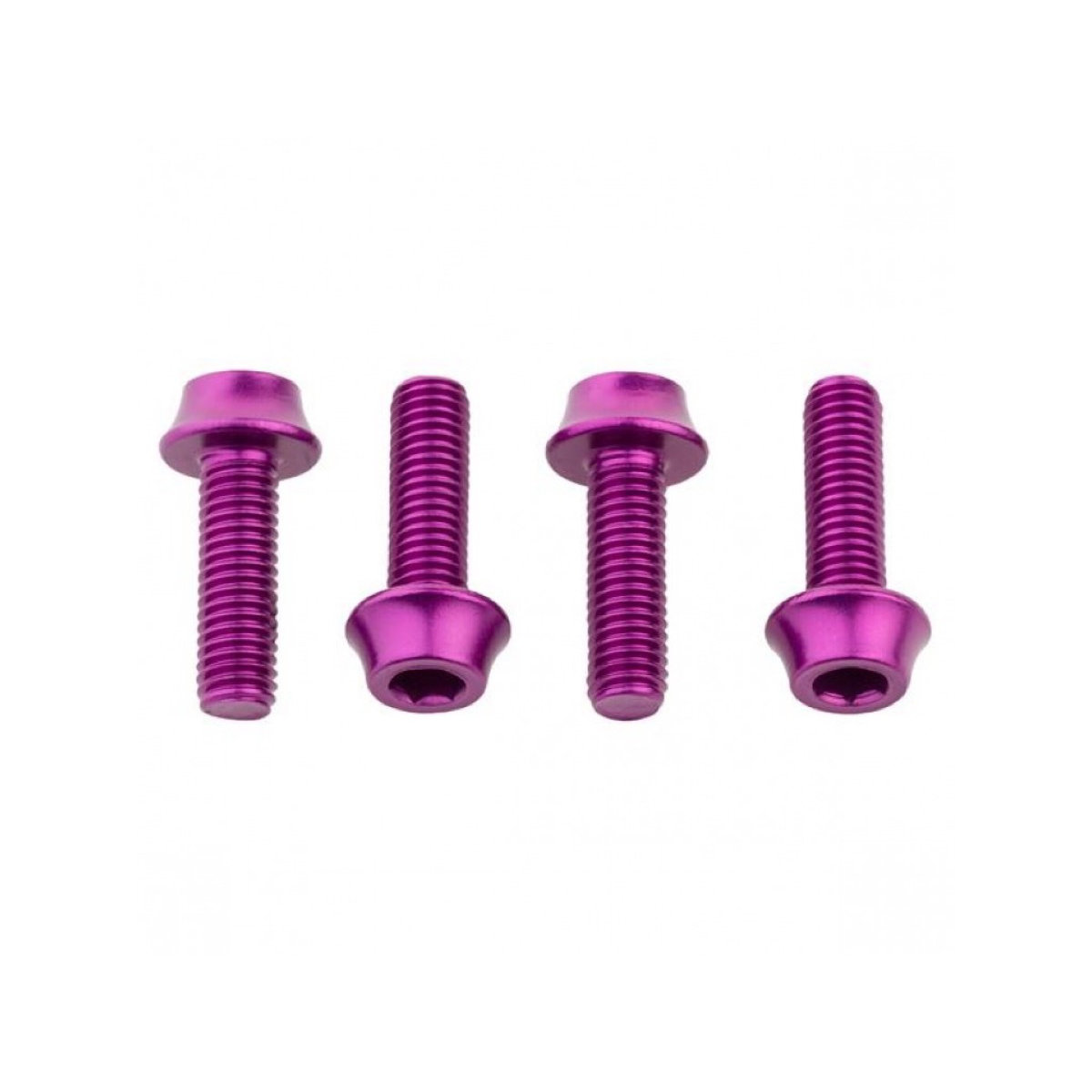 Water Bottle Cage Bolts