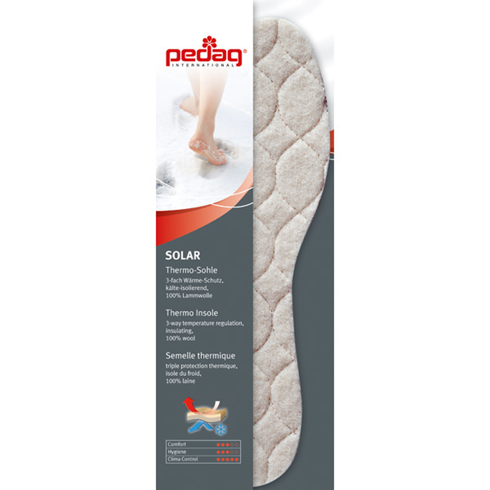 Pedag Solar Pedag Solar