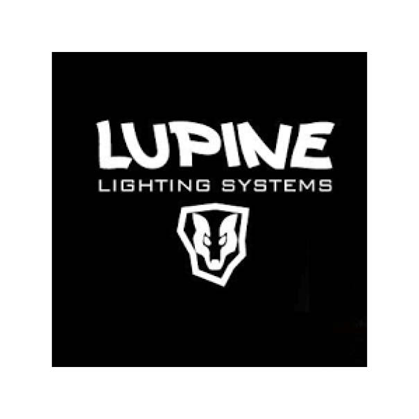 Lupine