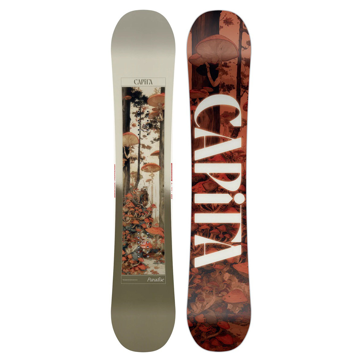 Paradise Skateboard, Natur, Im Freien