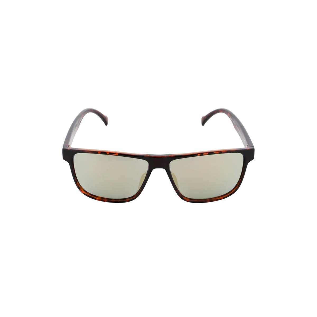 Casey-rx-002p Casey-rx-002p