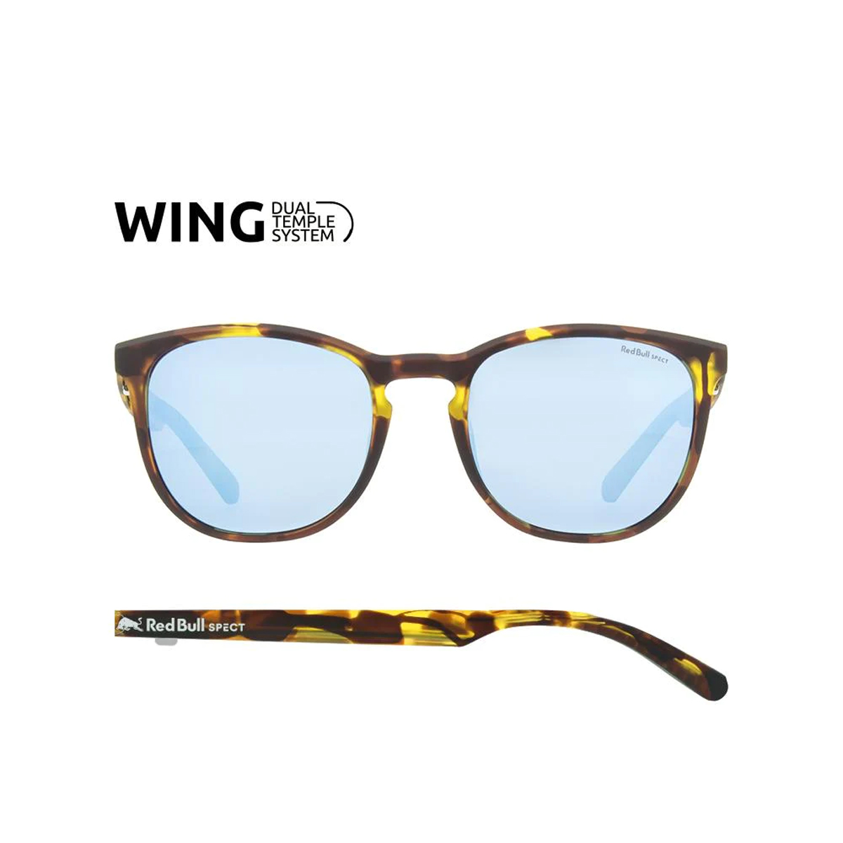 Steady-005p Steady-005p