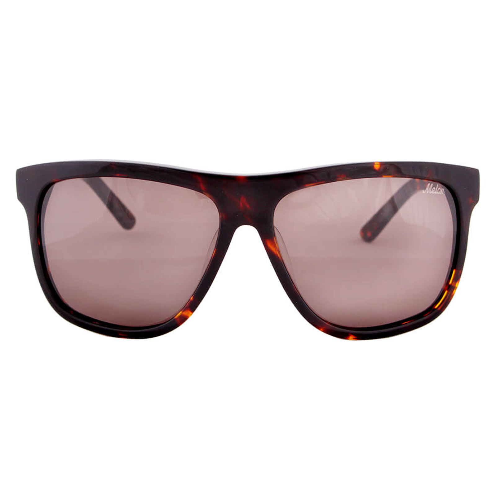 Cali Tortoise Cali Tortoise