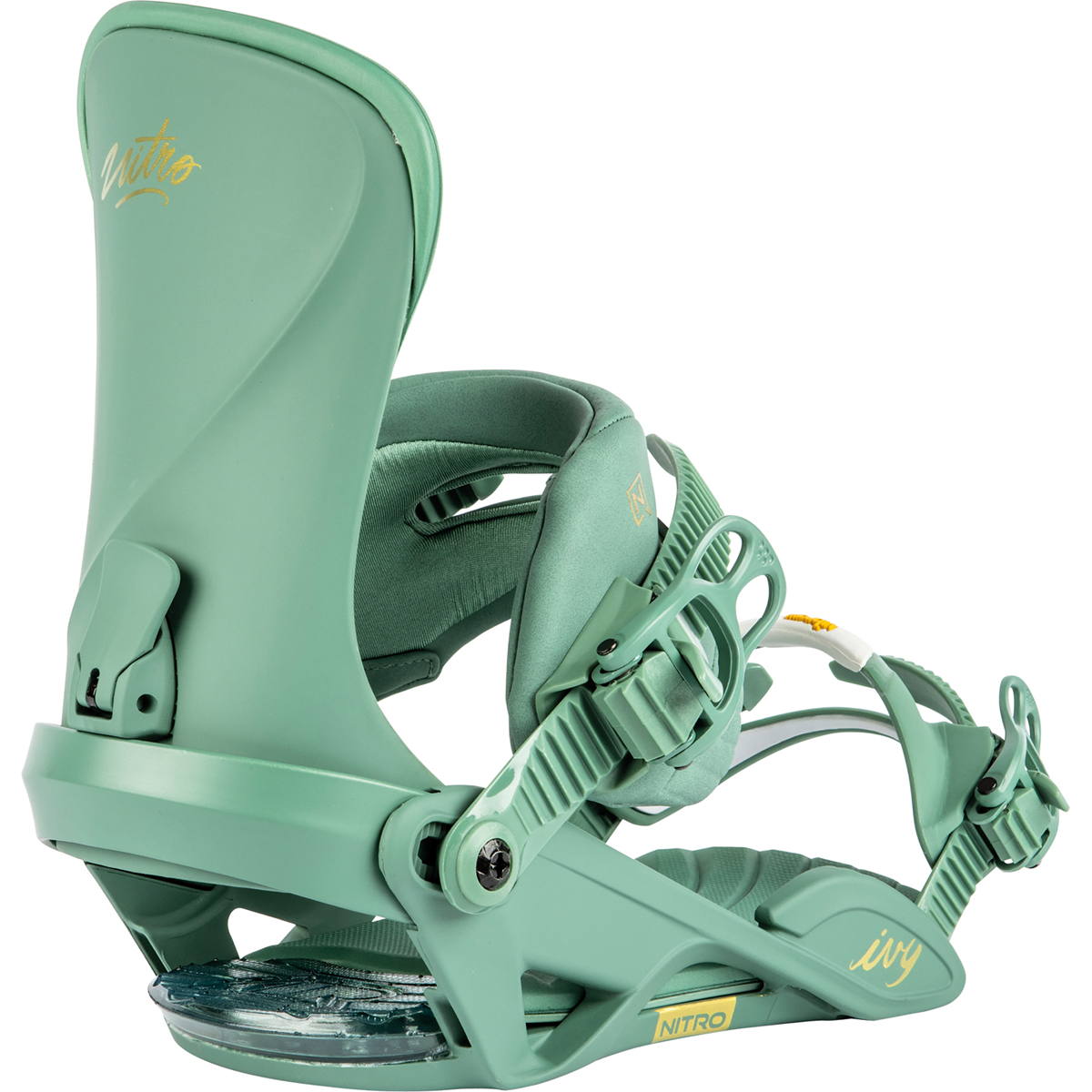 Ivy 24