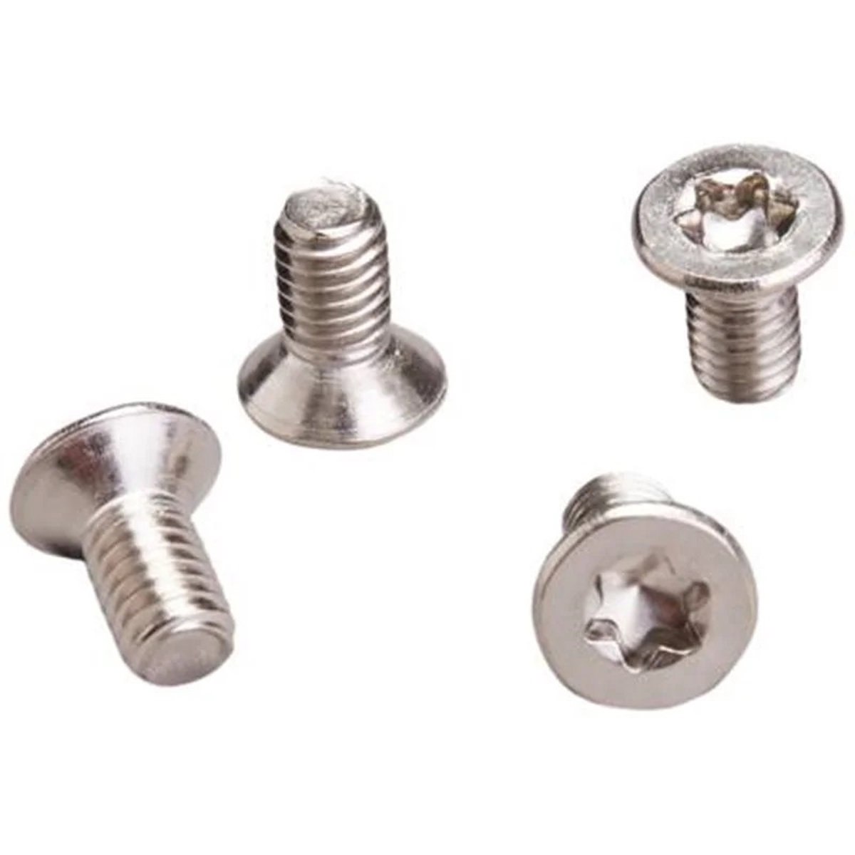 M6-12mm Tap.Head A4-T30 Torx