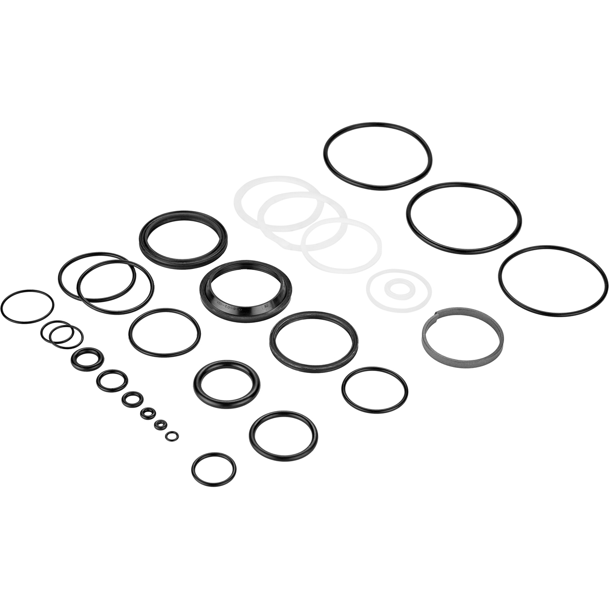 Seal 21 FloatX2 Spring/Rebuild