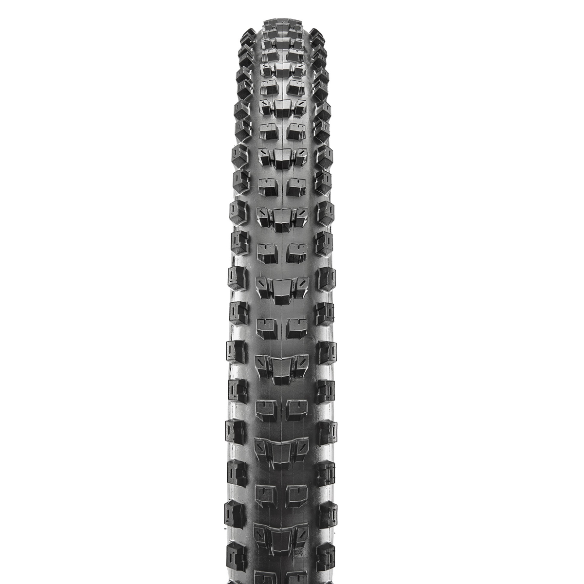 Dissector Exo+ 29x2.4WT 3CT