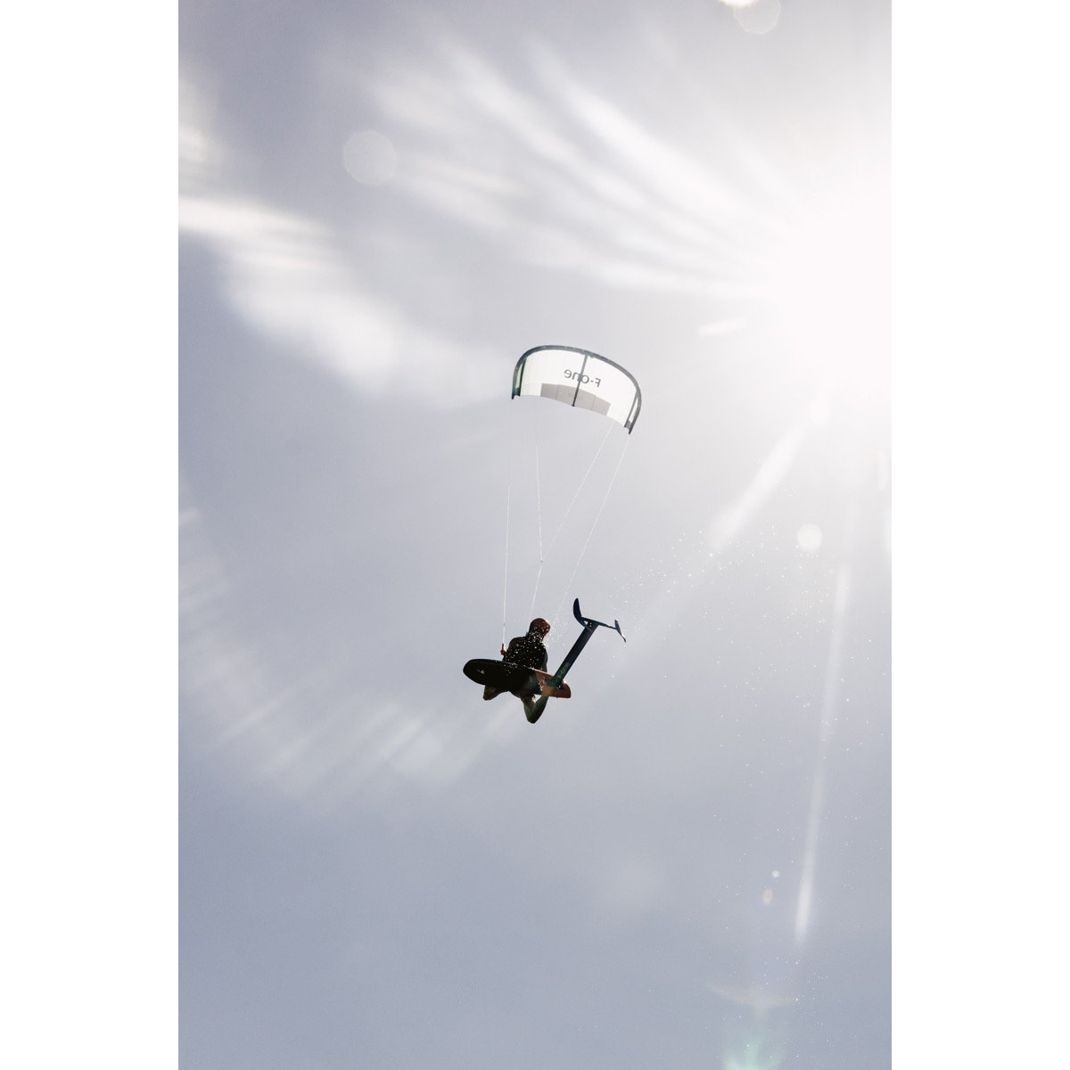 Person, Tier, Vogel, Fliegend, Helm