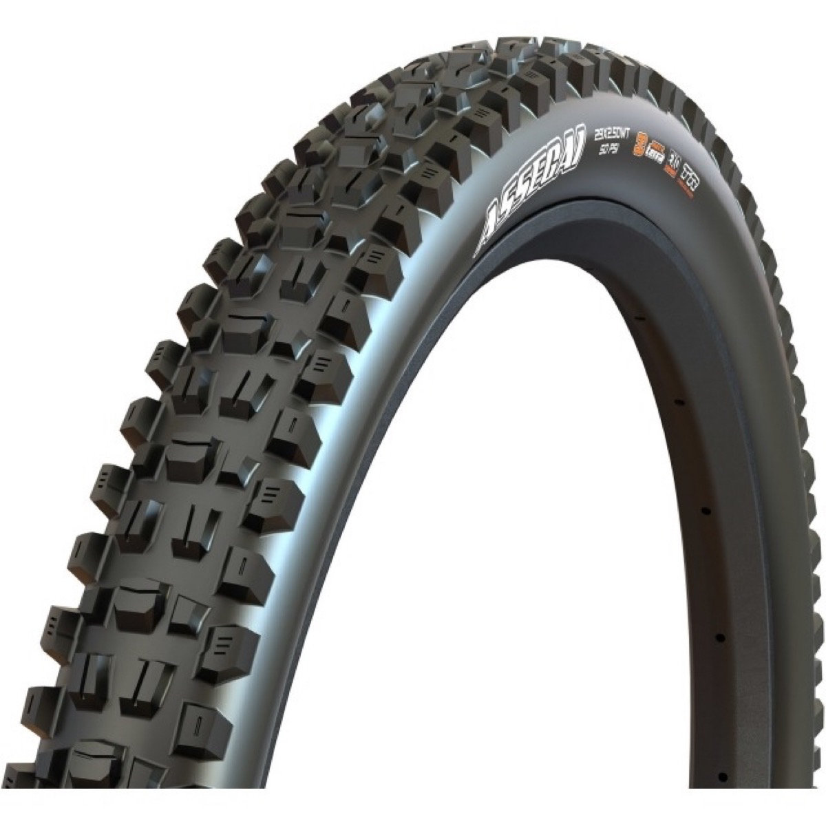 Assegai EXO+ TR 3C E-25 29x2,5