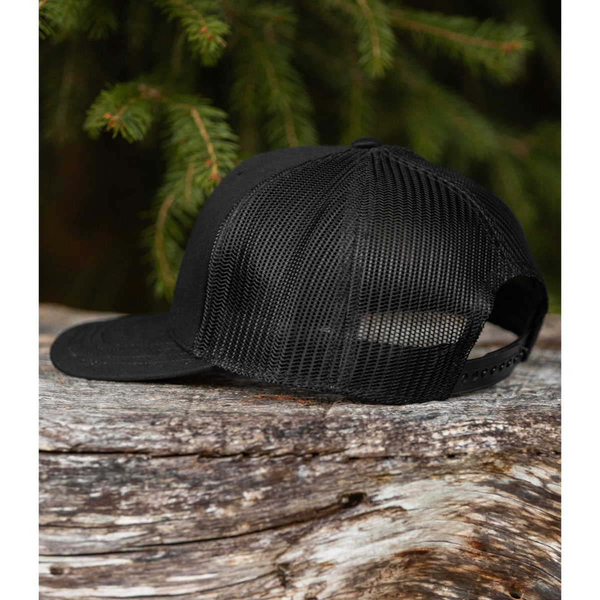 Baseball-Kappe, Kappe, Kleidung, Hut, Baum