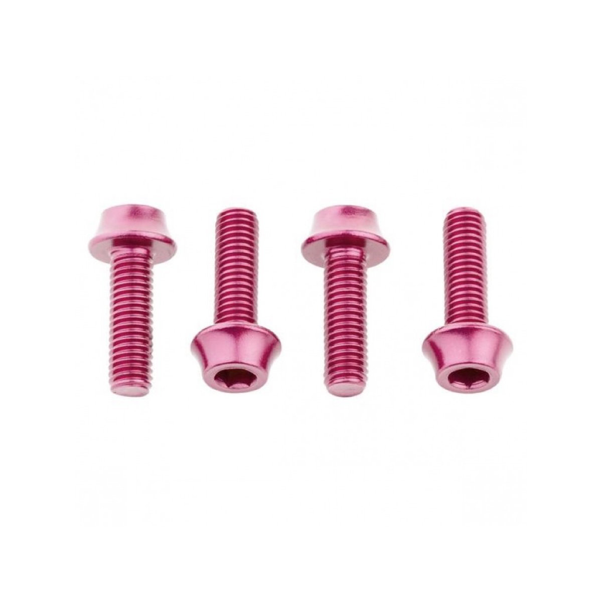 Water Bottle Cage Bolts